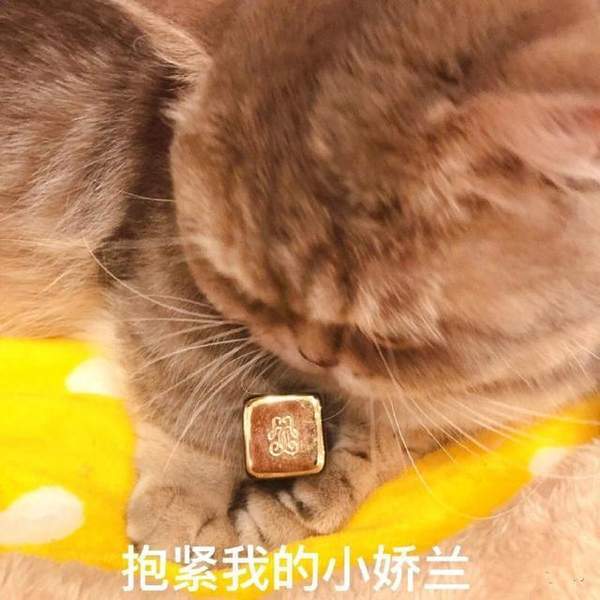 套路老公买口红表情包