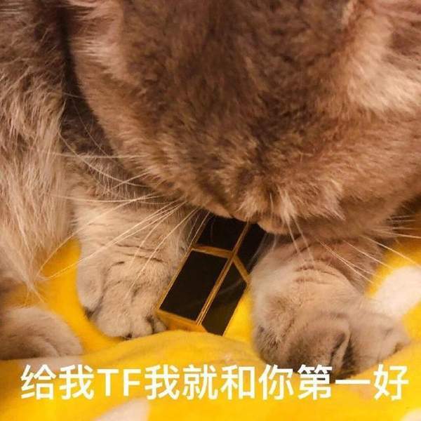 套路老公买口红表情包