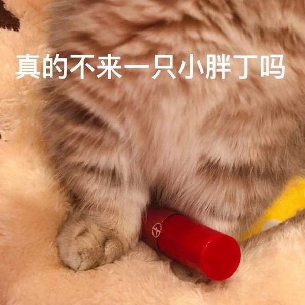 套路老公买口红表情包