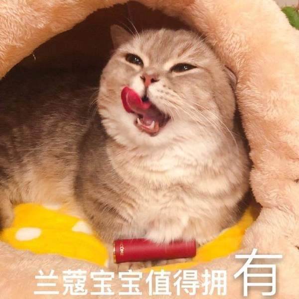 套路老公买口红表情包