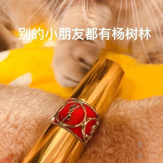 套路老公买口红表情包