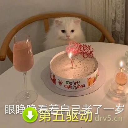 抖音年又老了一岁表情包