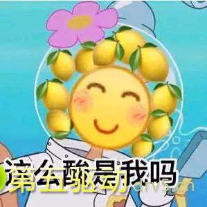 怎么这么酸的表情包