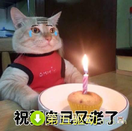 抖音年又老了一岁表情包