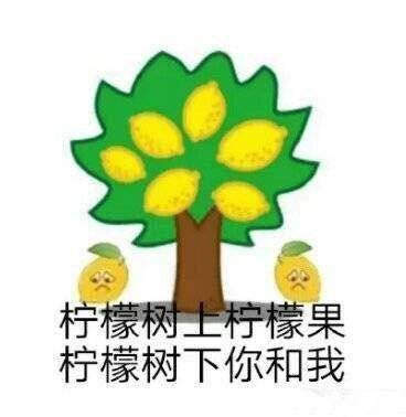 怎么这么酸的表情包