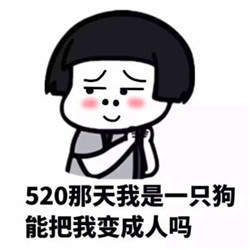 520表情包高清版