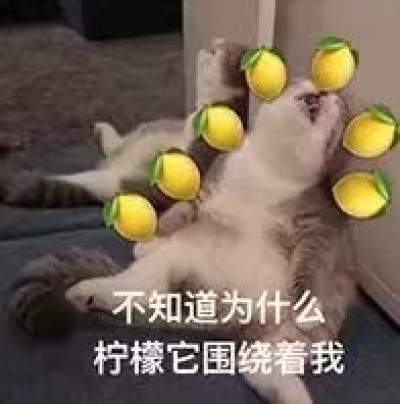 怎么这么酸的表情包