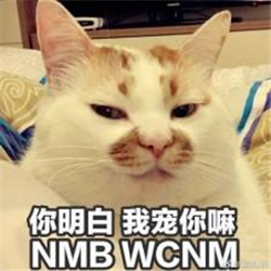 520表情包高清版