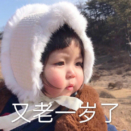抖音年又老了一岁表情包