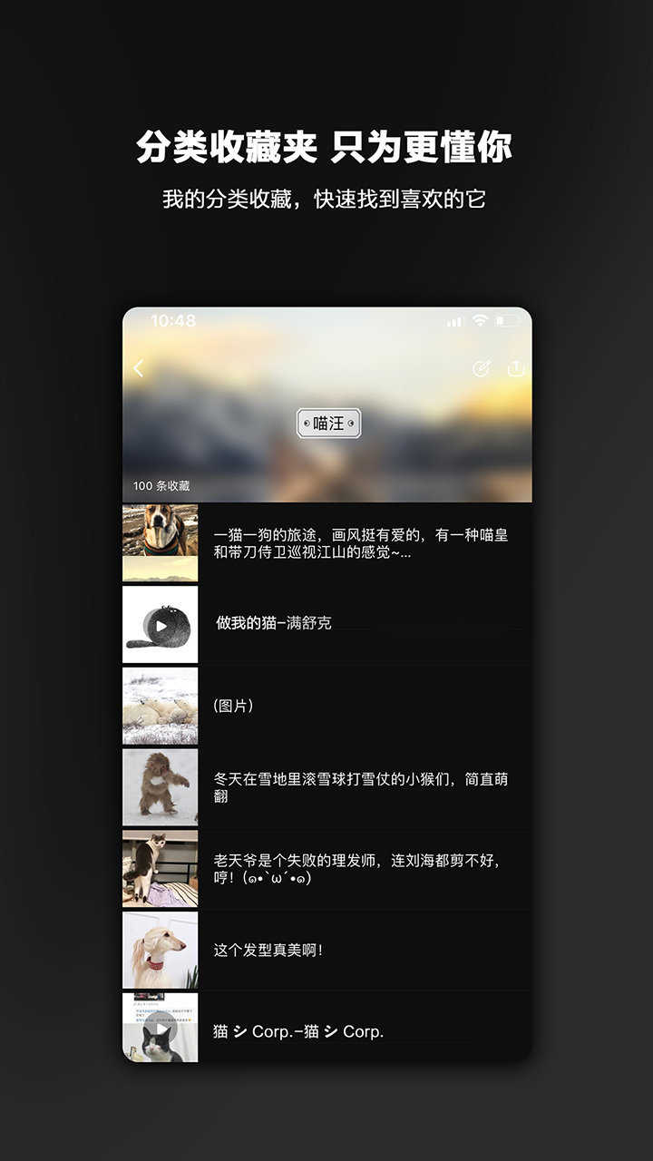 毛球图文