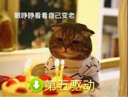 年又老了一岁表情包