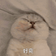 抖音摇头小猫表情包