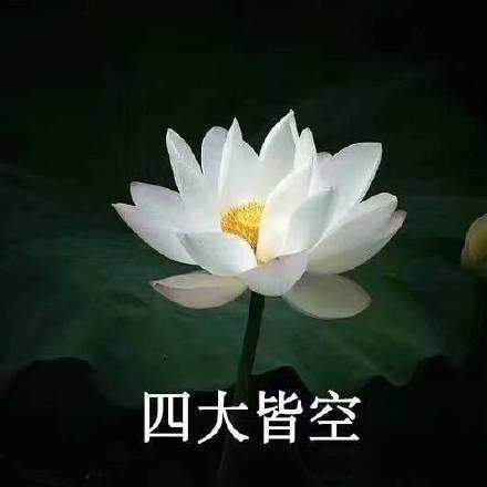 2020年又老了一岁表情包 