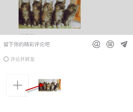 抖音摇头小猫表情包