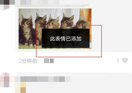 抖音摇头小猫表情包