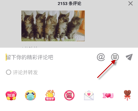 抖音摇头小猫表情包
