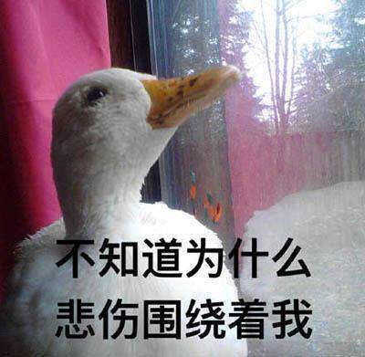 2020年又老了一岁表情包 
