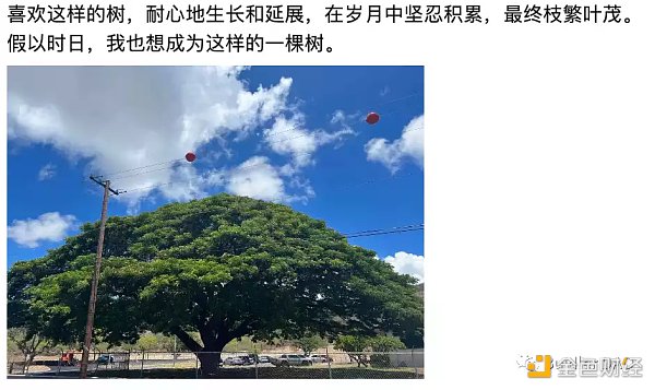 Women in Web3：区块链的超级女性力量-第2张图片-欧意下载