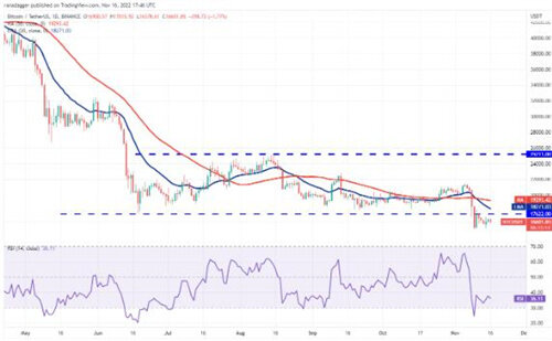 比特币今日最新价格 BTC最新行情分析资讯-第2张图片-欧意下载