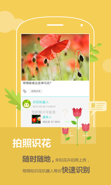 花满城