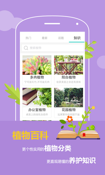 花满城