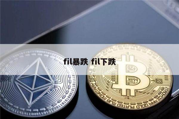fil币为什么一直暴跌 为什么这么多人坚信FIL会飙升-第1张图片-欧意下载