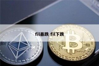 fil币为什么一直暴跌 为什么这么多人坚信FIL会飙升