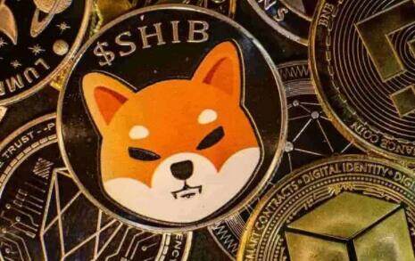 比特儿交易平台(比特儿交易平台网页)-第1张图片-欧意下载