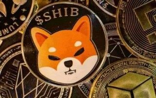 比特儿交易平台(比特儿交易平台网页)