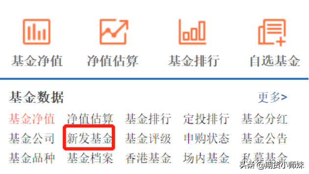天天基金网打新基金（天天基金网打新基金下载）-第1张图片-欧意下载