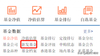 天天基金网打新基金（天天基金网打新基金下载）