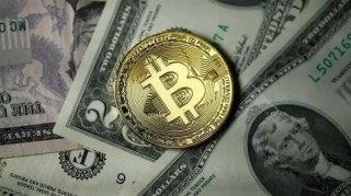 涨跌软件app最新排行 最新榜单盘点