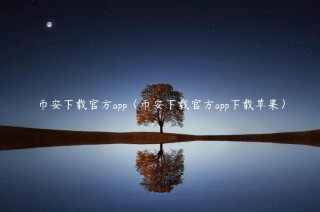 BIAN下载官方app（BIAN下载官方app下载苹果）