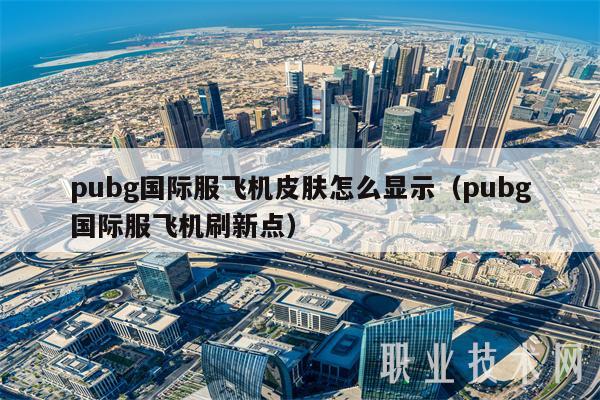 pubg国际服飞机皮肤怎么显示（pubg国际服飞机刷新点）-第1张图片-欧意下载