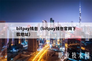 bitpay钱包（bitpay钱包官网下载地址）