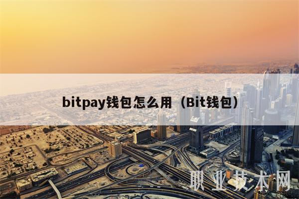 bitpay钱包怎么用（Bit钱包）-第1张图片-欧意下载
