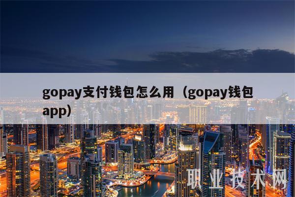 gopay支付钱包怎么用（gopay钱包app）-第1张图片-欧意下载