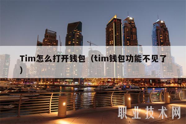 Tim怎么打开钱包（tim钱包功能不见了）-第1张图片-欧意下载
