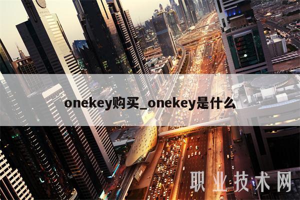 onekey购买_onekey是什么-第1张图片-欧意下载
