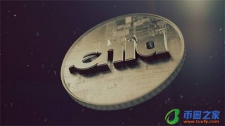 派币它真的值超过 300,000 美元吗？