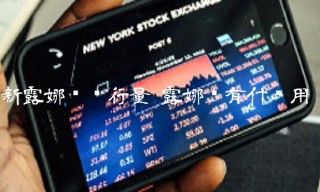 新露娜币发行量