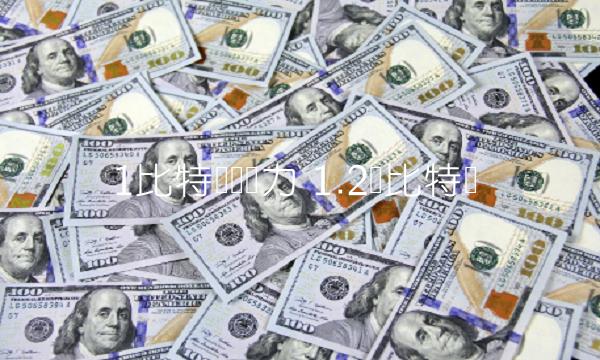 1比特币购买力-第1张图片-欧意下载