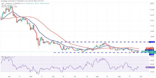 波卡币现在多少钱一个 DOT今日最新行情K线-第1张图片-欧意下载