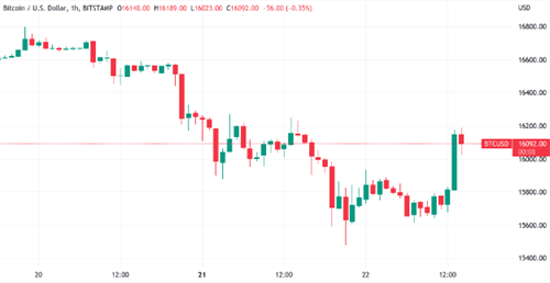 比特币价格重返16000美元 因BTC鲸鱼抛售警告-第1张图片-欧意下载