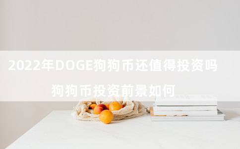 2022年DOG狗狗币还值得投资吗（狗狗币投资前景如何）-第1张图片-欧意下载