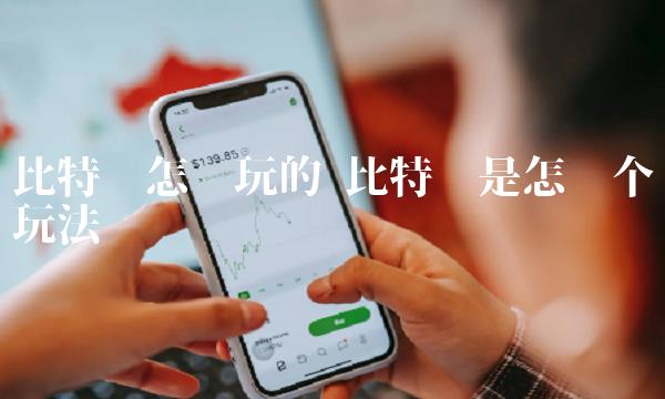 比特币是怎么个玩法-第1张图片-欧意下载