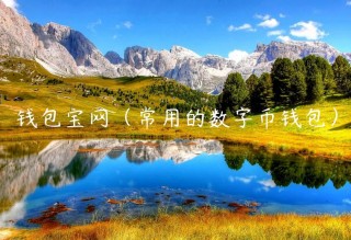 钱包宝网（常用的数字币钱包）
