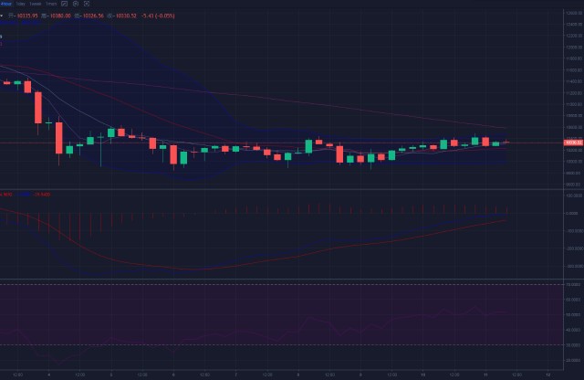以肽钱包（sc钱包同步区块）-第2张图片-欧意下载