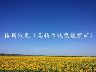 格斯钱包（莱特币钱包能挖矿）