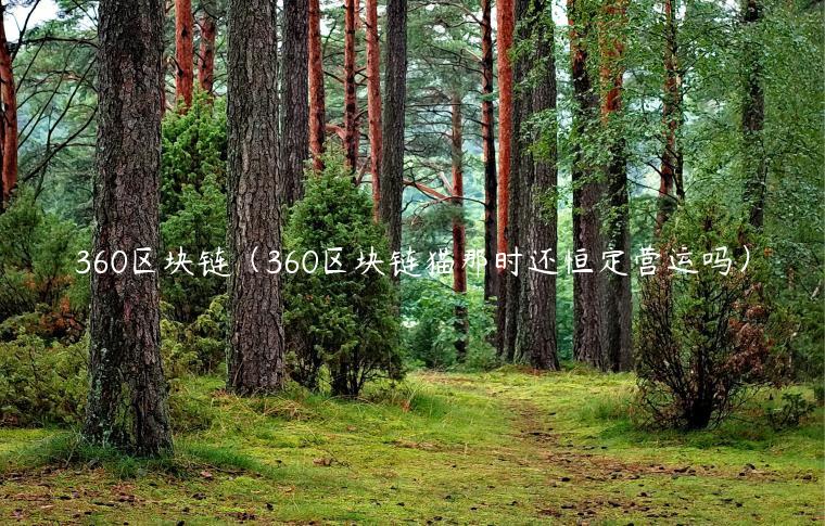 360区块链（360区块链猫那时还恒定营运吗）-第1张图片-欧意下载